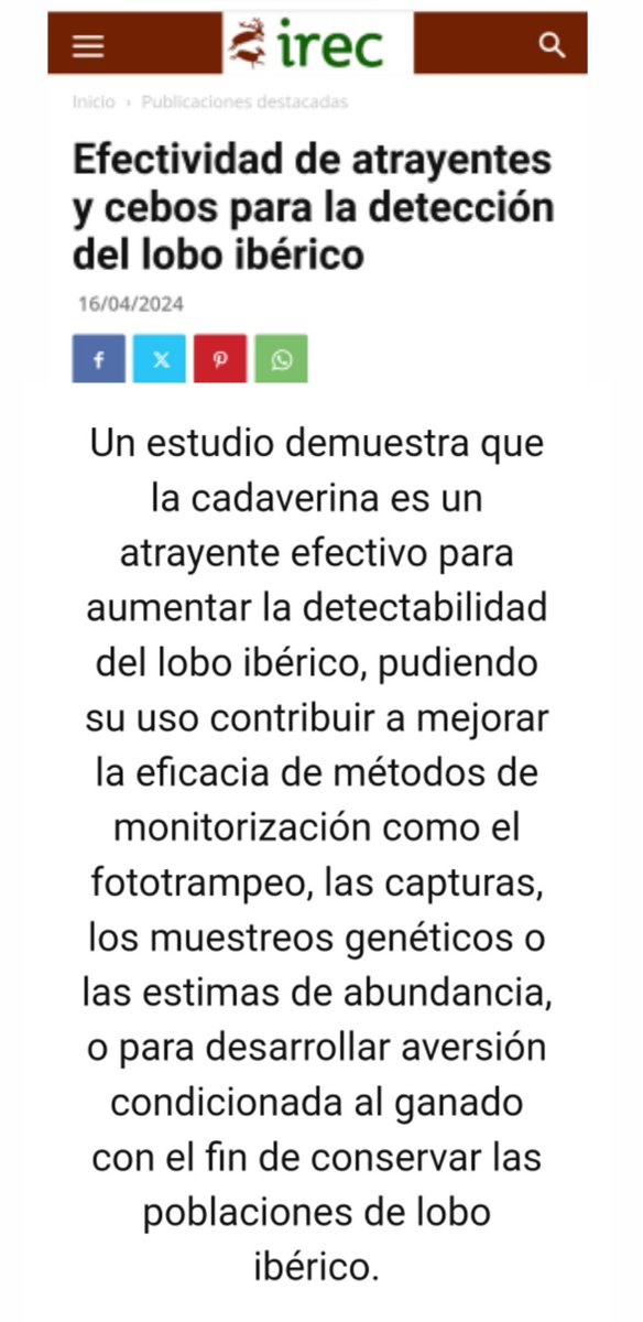 El 🐺 lo ha tenido siempre muy difícil y quieren ponerle otra dificultad más en su camino, facilitándoselo a los q llenan el monte de trailcams,  a GANADEROS ANTILOBOS y a CAZADORES FURTIVOS  para que puedan atraer más fácil al 🐺 y pegarle un tiro. ¿Verdad @IREC_CSIC_UCLM?