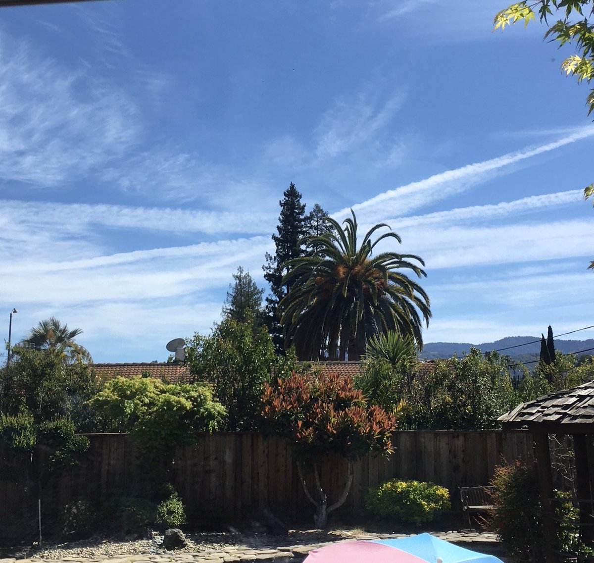 THIS IS NOT NORMAL CLOUDS! OUR GOVERNMENT NEEDS TO STOP SPRAYING US LIKE BUGS!! THINK OF THE CHILDREN!!