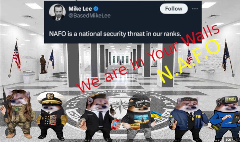We are your National Security! #NAFO #NAFOfellas #NAFOCatsDivision #dailyfella