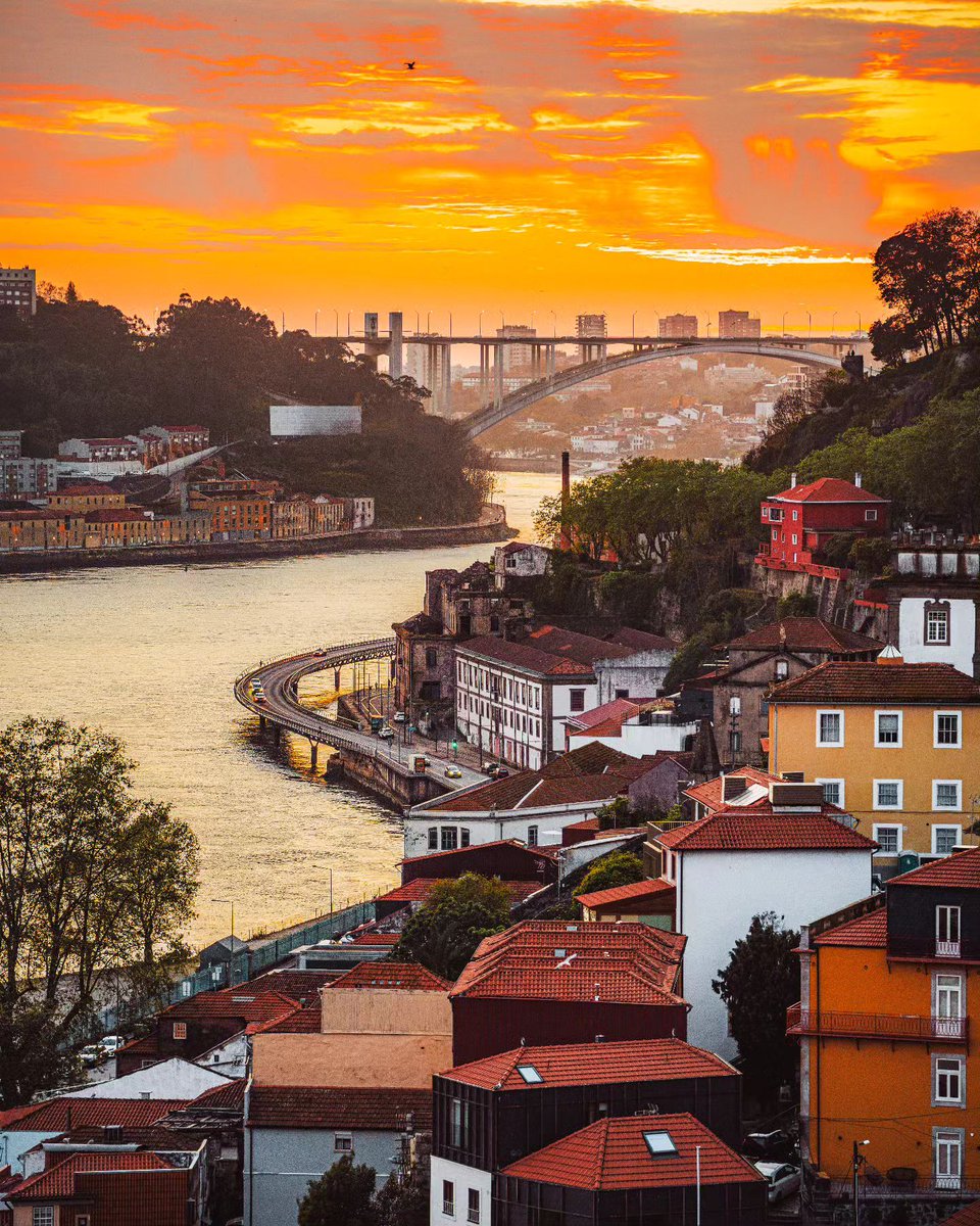 Porto, Portugal ❤️
.
➢ Credit 👉🏆📸 @mr.goldenhour_
.
#portoportugal #porto🇵🇹 #ig_porto #super_porto #igers_porto #porto_ig #porto #portolovers #amar_porto #igporto #oporto #oportolovers #oportocity #oportocool #oportoportugal #visitoporto #visitportugal #visitporto