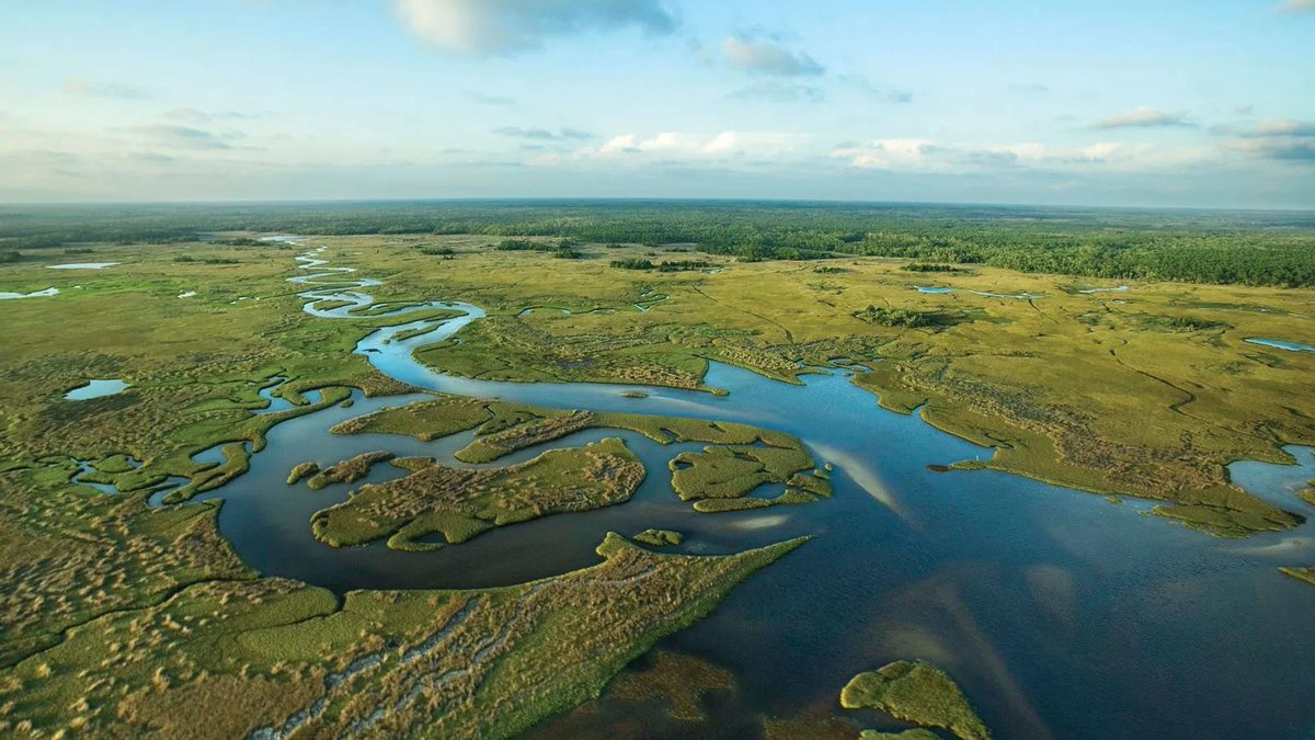 #DidYouKnow the Everglades supply drinking water to over 9 million people? Learn how you can protect the Everglades and other vital ecosystems on 4/21 from 11 am - 3 pm during #EarthDay 2024: Presented by @insideFPL SolarNow & supported by @FloridaPrepaid. frostscience.org/earthday