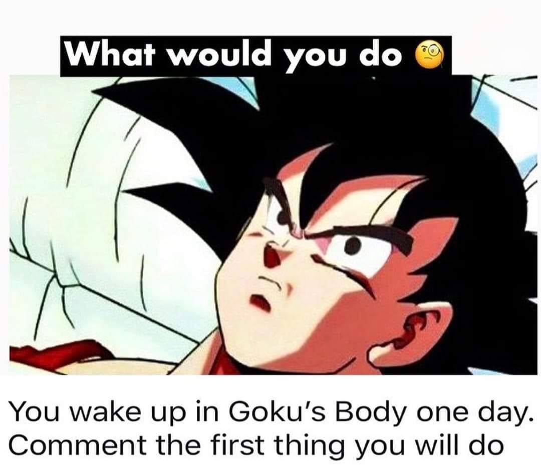 What will u do chat?