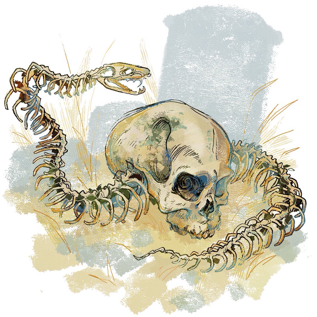 skeletal snail beloved