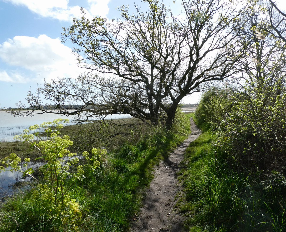 Beatrice Groves tweet media