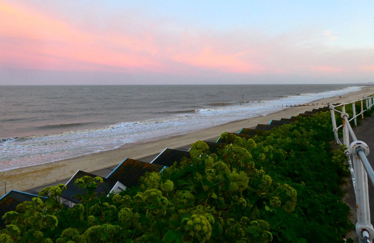 Beatrice Groves tweet media