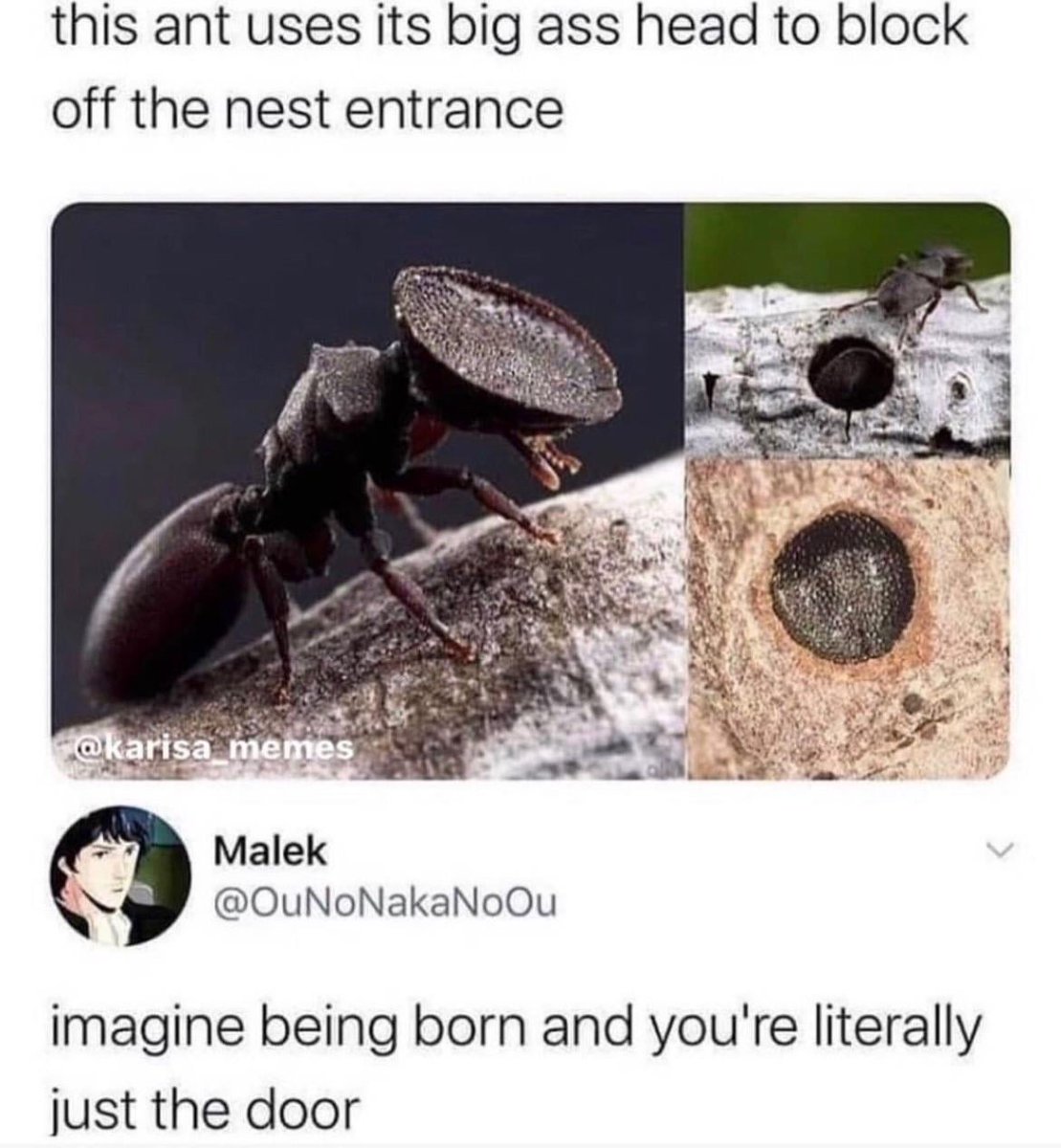 nocontextmemes's tweet photo. https://t.co/o472ZycNOg