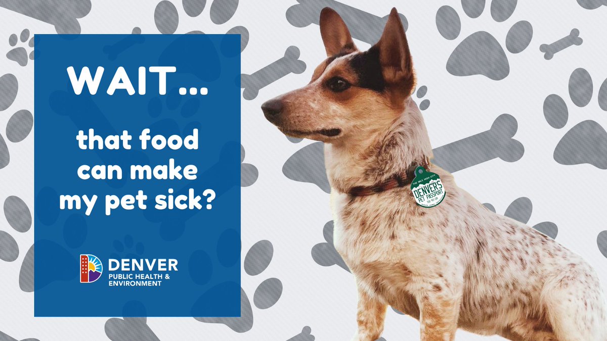 While you may want to include your #pet when you’re having a treat 🍰 for yourself, it’s important to remember human foods can make them sick. Sidestep a visit to the vet & learn which foods to avoid at denvergov.org/Government/Age…  #Denver #PetSafety #AnimalProtection