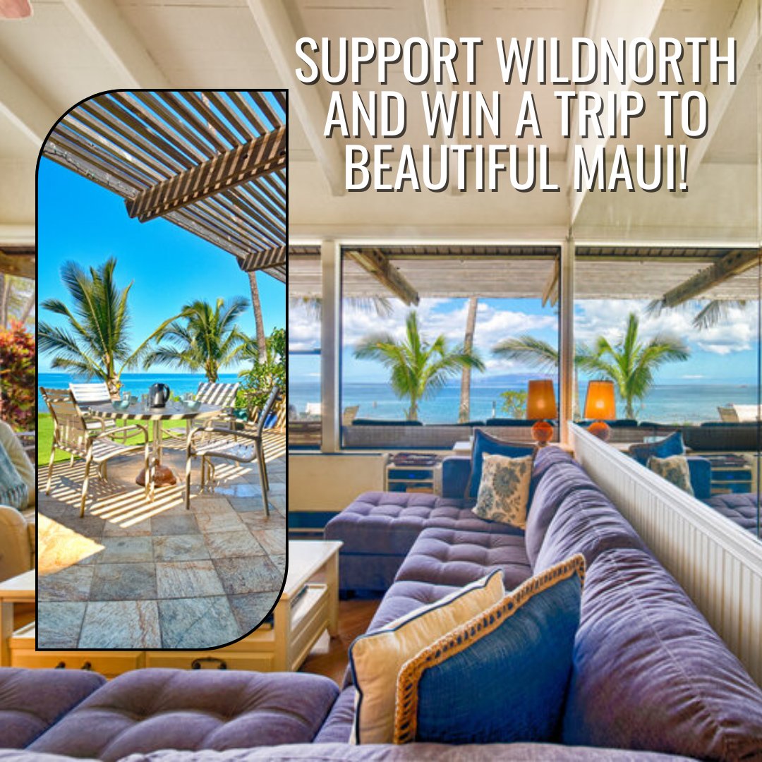 WILDNorth tweet media