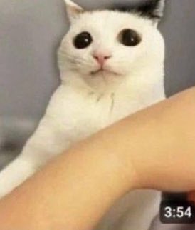 mikusbasement's tweet photo. NO WAIT 

NOT YOU NO NO NO NO https://t.co/kMKTMVF5U1