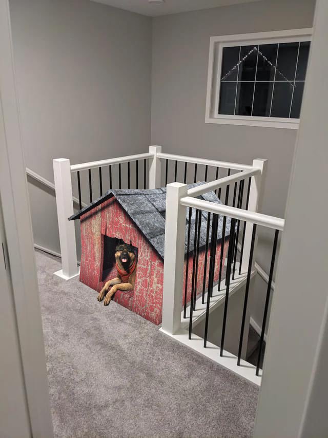 How about a house for a good boy?
