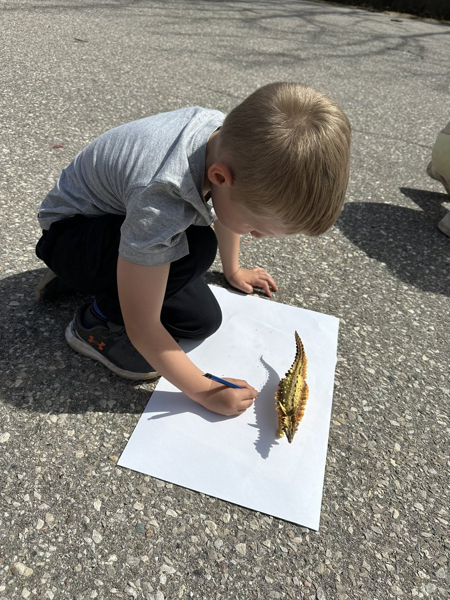 Miss_DiFelice's tweet photo. From sunshine to smiles, today was a blast in ELKP2! ☀️🌞 We took our imaginations outside and brought dinosaurs to life with shadow drawing fun! #kindergartenAdventures @sttcatholic https://t.co/IboHfFA8IE