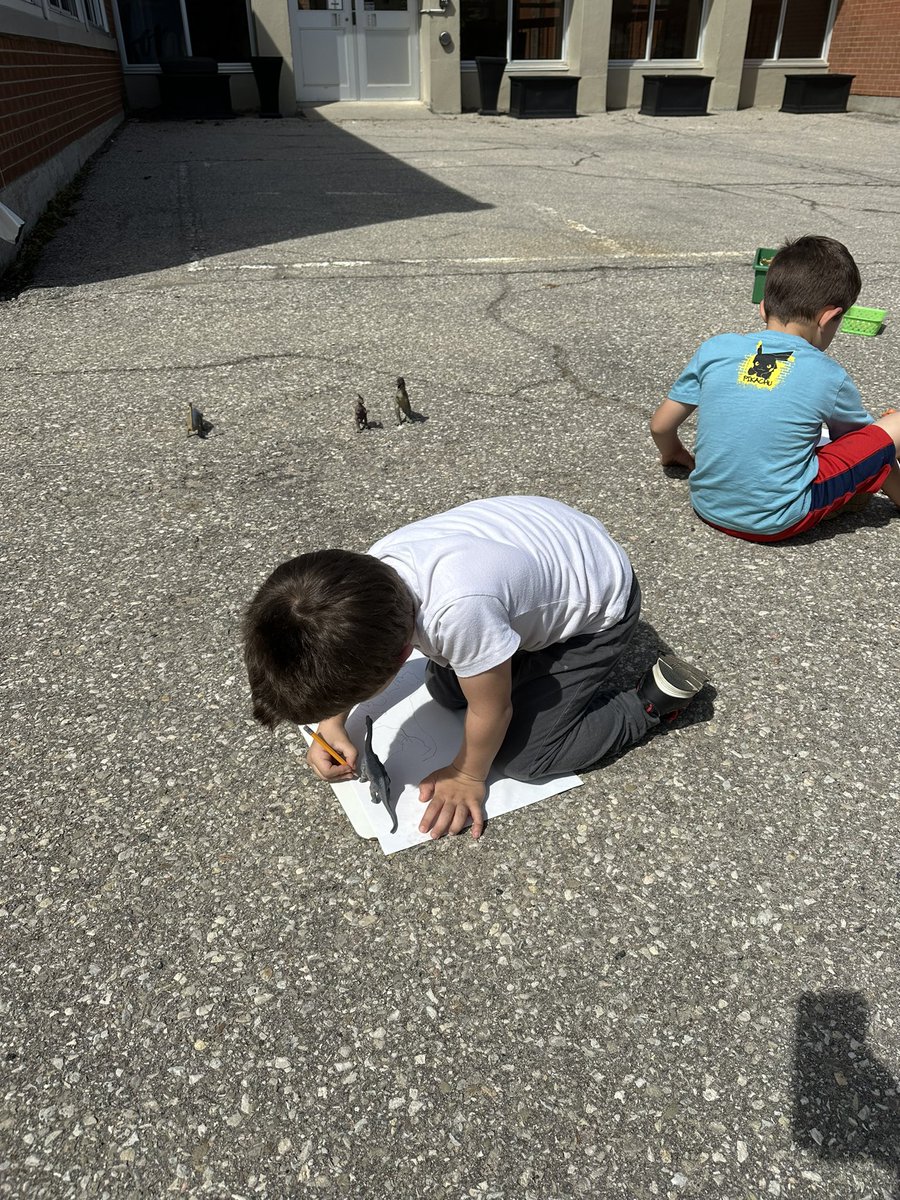 Miss_DiFelice's tweet photo. From sunshine to smiles, today was a blast in ELKP2! ☀️🌞 We took our imaginations outside and brought dinosaurs to life with shadow drawing fun! #kindergartenAdventures @sttcatholic https://t.co/IboHfFA8IE