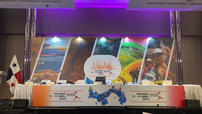 anacabralesm's tweet photo. Ayer comenzó la 17ª reunión del Comité del Codex sobre Contaminantes de los alimentos, en la Ciudad de Panamá. Los delegados de los países miembros del Codex debatiremos límites máximos de contaminantes que se aplicarán en comercio internacional de alimentos. 🍎🥜🐟⚠️ https://t.co/RsZmOR0X4D