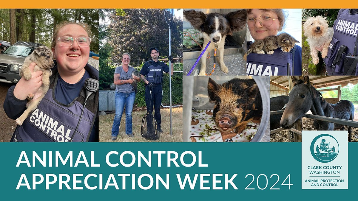 Shout out to our hard-working Animal Control officers! Thank you for all you do! #AnimalControl #ClarkWA