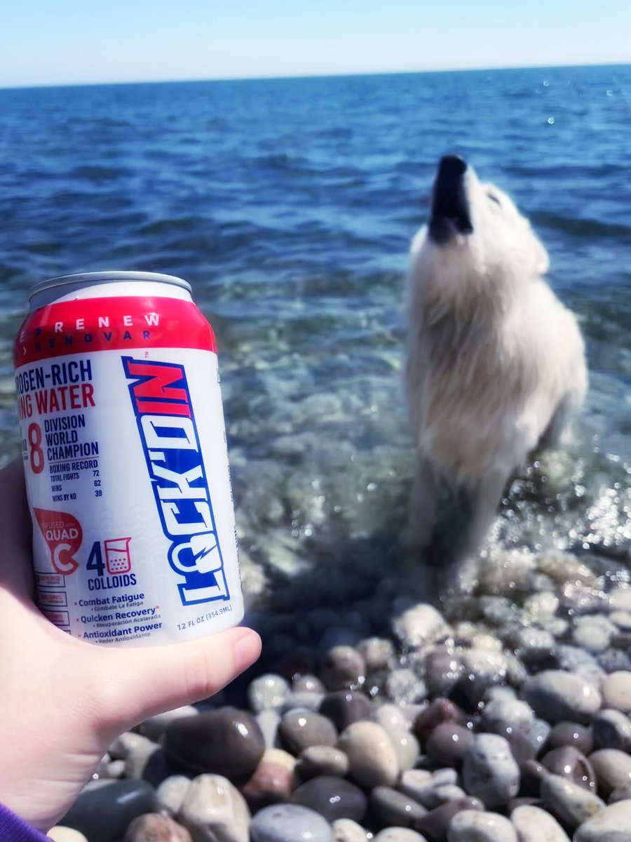 LOCKDIN_Milo's tweet photo. Nothing like LockdIN beach time! @LiveLockdIn ❤️💙🤍💦 #LOCKDINNation #LockdInMilo #LiveLockdIn #Dogsoftwitter #Health $LTNC https://t.co/E0zKB76E5K