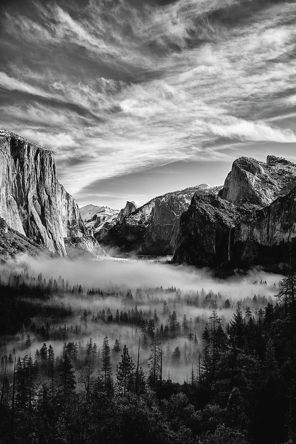 Photography from Yosemite. #Buyintoart #homedecor #homedecorating #interiordecor #travel #photography #artprints 

click link for pricing and to purchase buff.ly/3xH7lhj