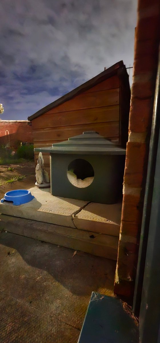 StowJames's tweet image. Now we understand why our cat #Binx won't go in his garden house! 

BTW the 3rd pic was taken on my #samsungs23ultra phone in the pitch black on night mode!!!