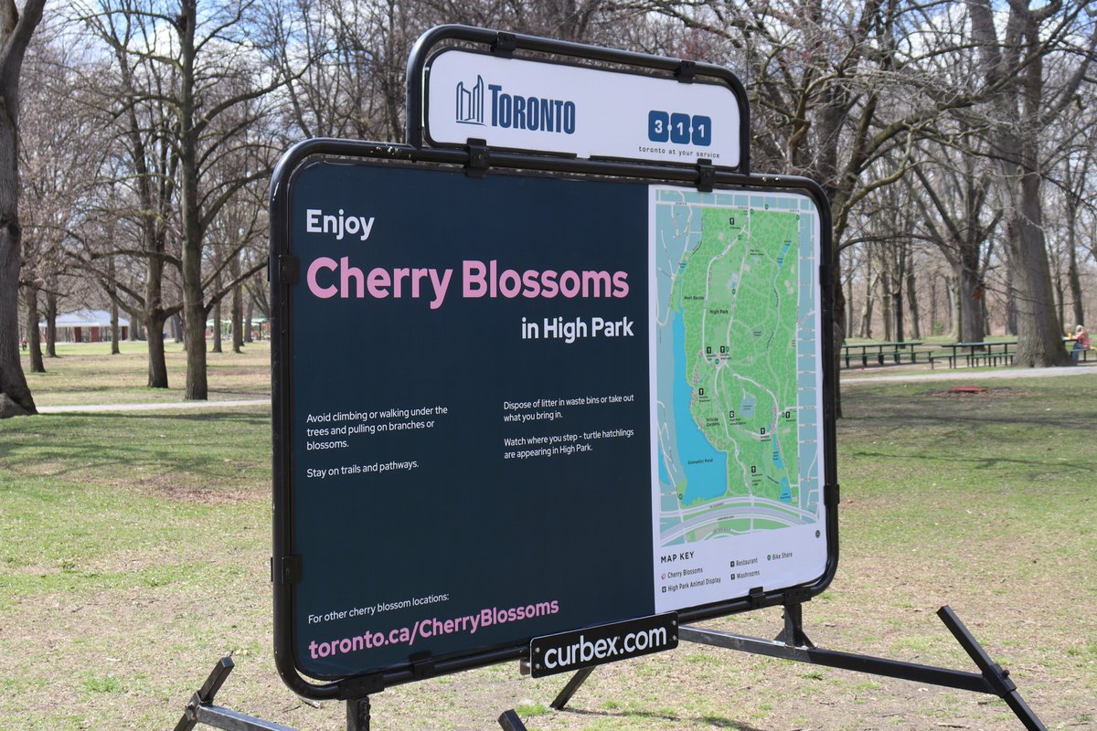 It's almost time for cherry blossom season in High Park! But first let's go over some cherry blossom viewing etiquette thanks to @cityoftoronto's signage you can see around the park. 🌸🌸🌸 #HighPark #CherryBlossoms #CherryBlossomsTO