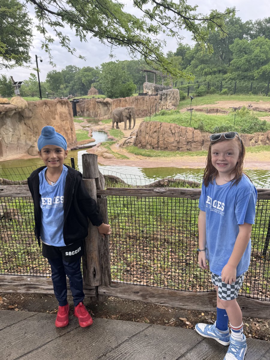 misscoltharp's tweet photo. A wild day at the zoo! The rain didn’t ruin our 1st grade field trip. #hammfam #hammheroes #TogetherRockwall @hammelem @rockwallschools https://t.co/DAoYX4bETj