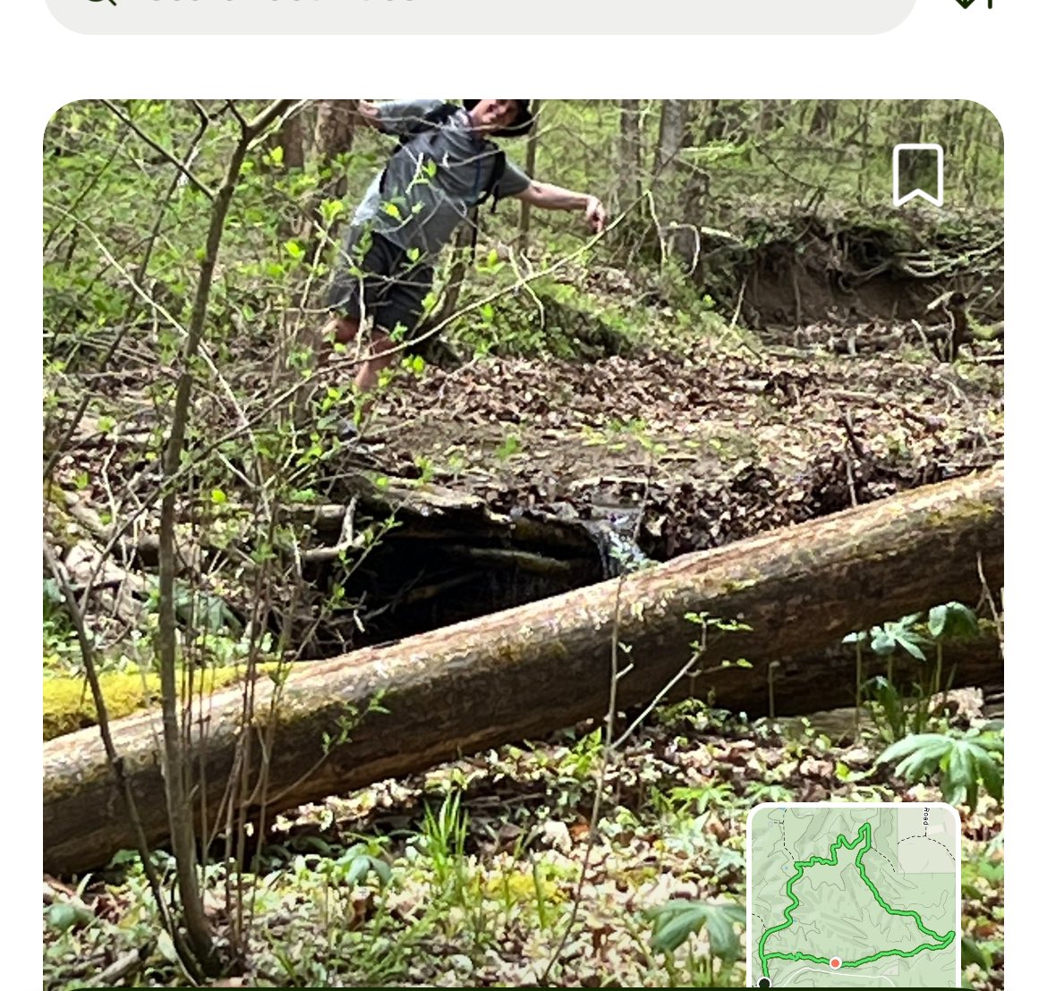 HCHikingClub's tweet photo. Sycamore Loop Trail #HoosierNationalForest https://t.co/952TB8Wbfv