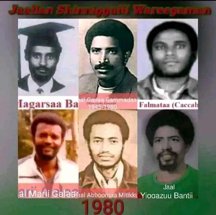 Caayaasabaa's tweet photo. Maal dhaaman dhalootaaf
Gootonni lubbuun darbanii
Warreen tokkummaa sabaaf
Shinnigaatti wareegamanii
Kiristaanaa fii islaamaan
Gargar hin baanu jedhanii
Warri dhiigaa fi lafee ofiitiin
Tokkummaa Oromoo ijaraanii
Goottan jumlaan Shinnigaatti 
Dhuman maal nuuf dhaamanii⁉️

#GGO https://t.co/8OuwwRTkU8
