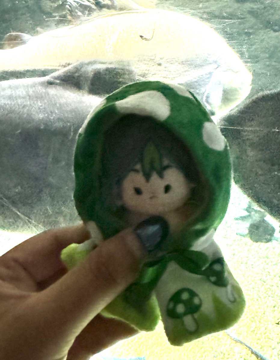 Hey twitter. It’s time to do your thing. I’m in Nagoya Japan and I lost my Tighnari plush in the thunderstorm last night. He looks like this and is in a clear little ita bag with Chiikawa! Help. I’m devastated. We’ve been through a lot together and he fell off my bag. 😭