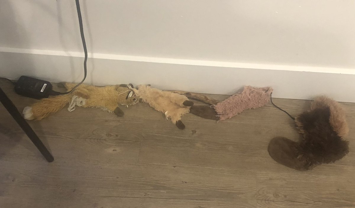 Turculet Group tweet media