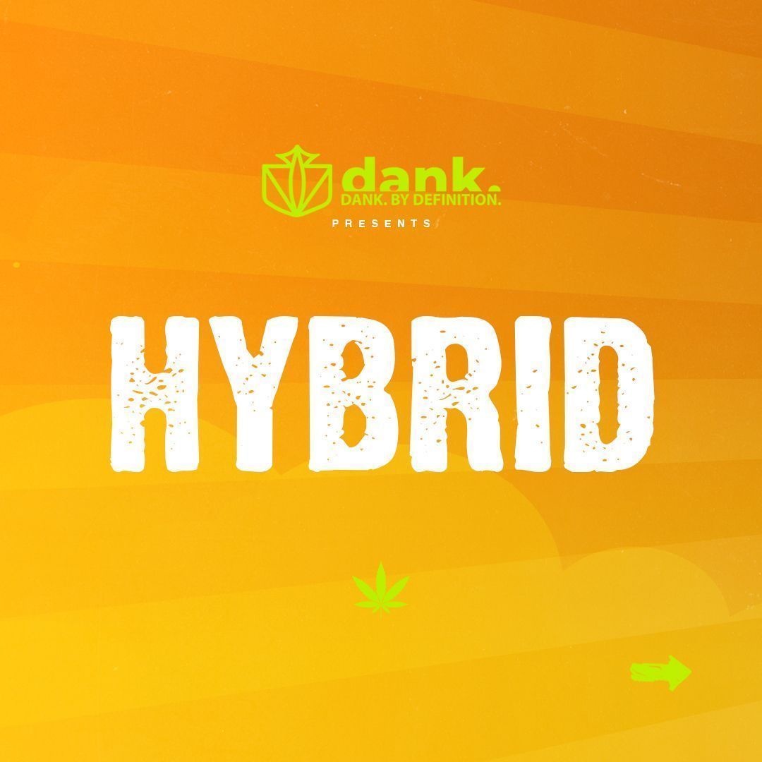 dankcanna's tweet photo. HYBRID By Defintion! 📚💨

Learn more at https://t.co/RB2ayDMffy! 🔗 https://t.co/qIGzNN2YXB