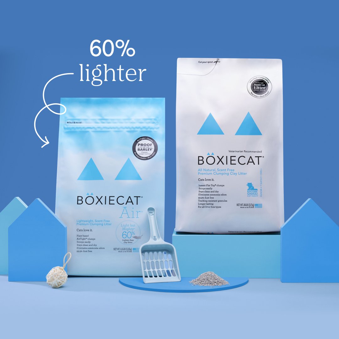 A plant-based litter that is 60% lighter than clay litter? ☁️ Yes please!⁠ ⁠
⁠
Shop Lightweight litters that do not compromise on performance. Link in bio!⁠
⁠
#cat #boxie #boxiecat #catlitter #lightweightlitter #lightweightcatlitter #plantbasedlitter