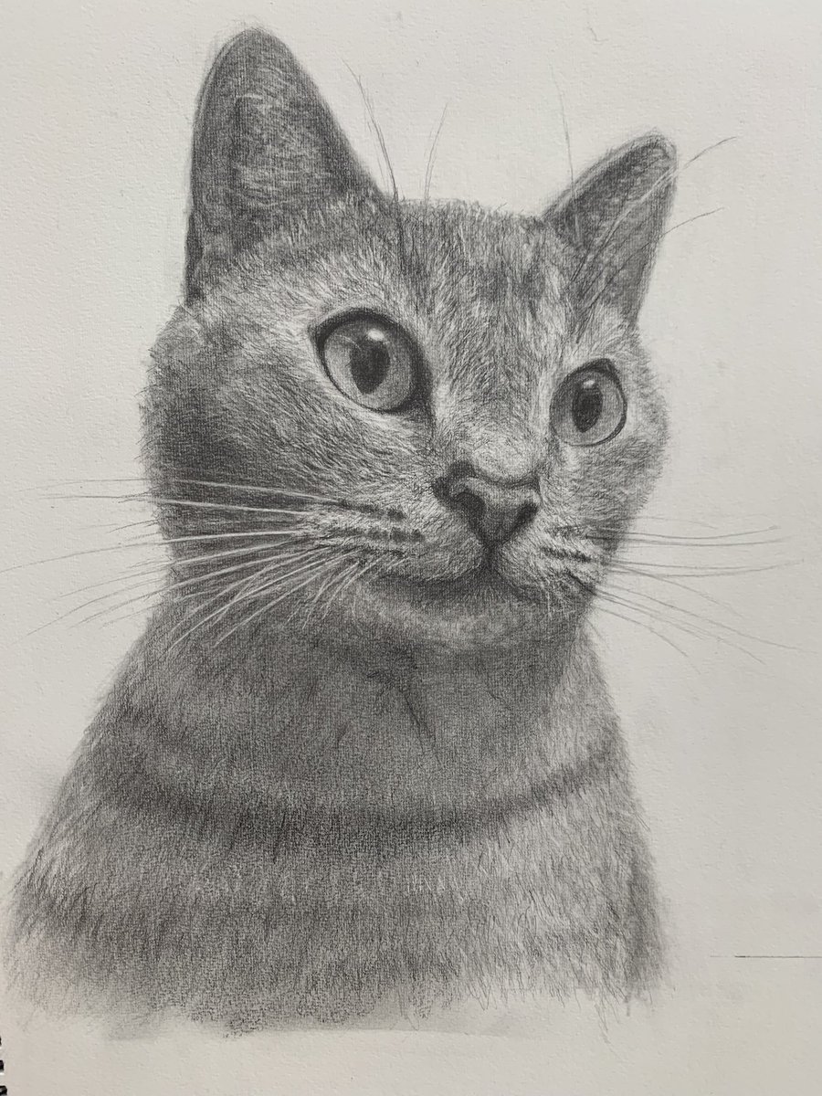 最近描いてるやつ
ニャンコはもう少し！
めぐみんはまだまだだっ