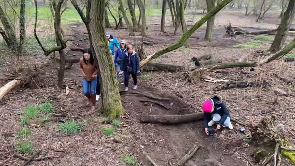 Hundreds of young trees vandalized at Kissena Park in Flushing, Queens: NYPD abc7ny.com/flushing-queen…