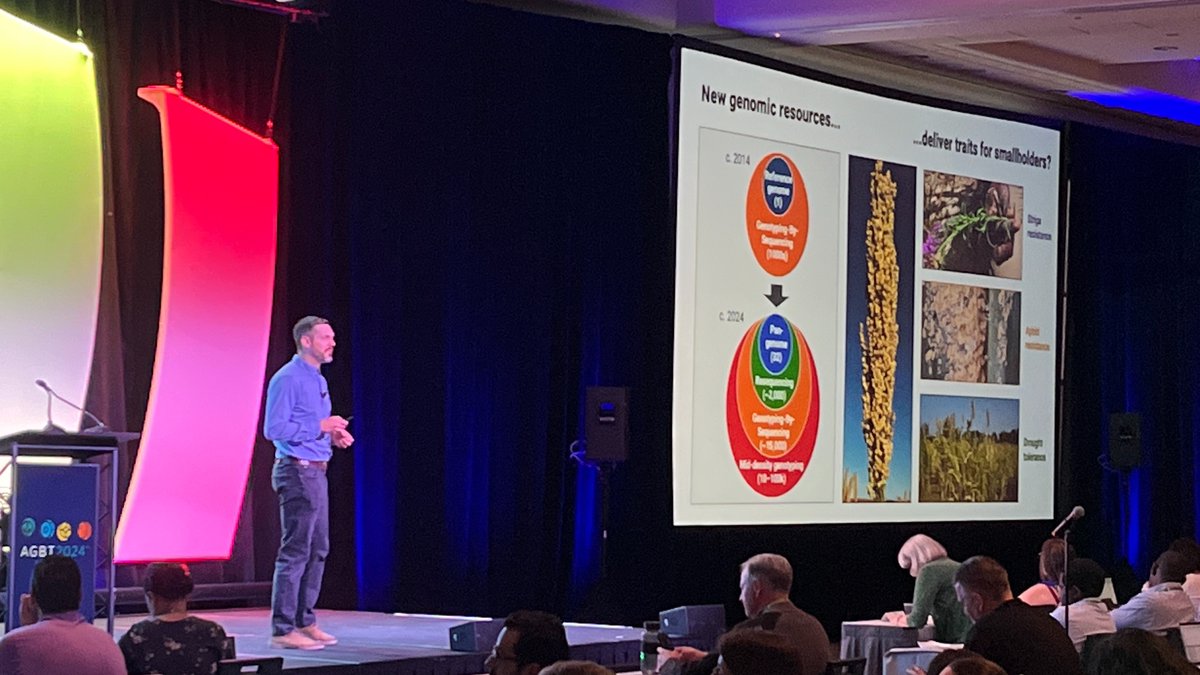 POPULATION GENOMICS: @CropAdaptation from @ColoradoStateU talks genome discovery to smallholder farmers and if are we delivering at @AGBT Ag 2024. #AGBTAg