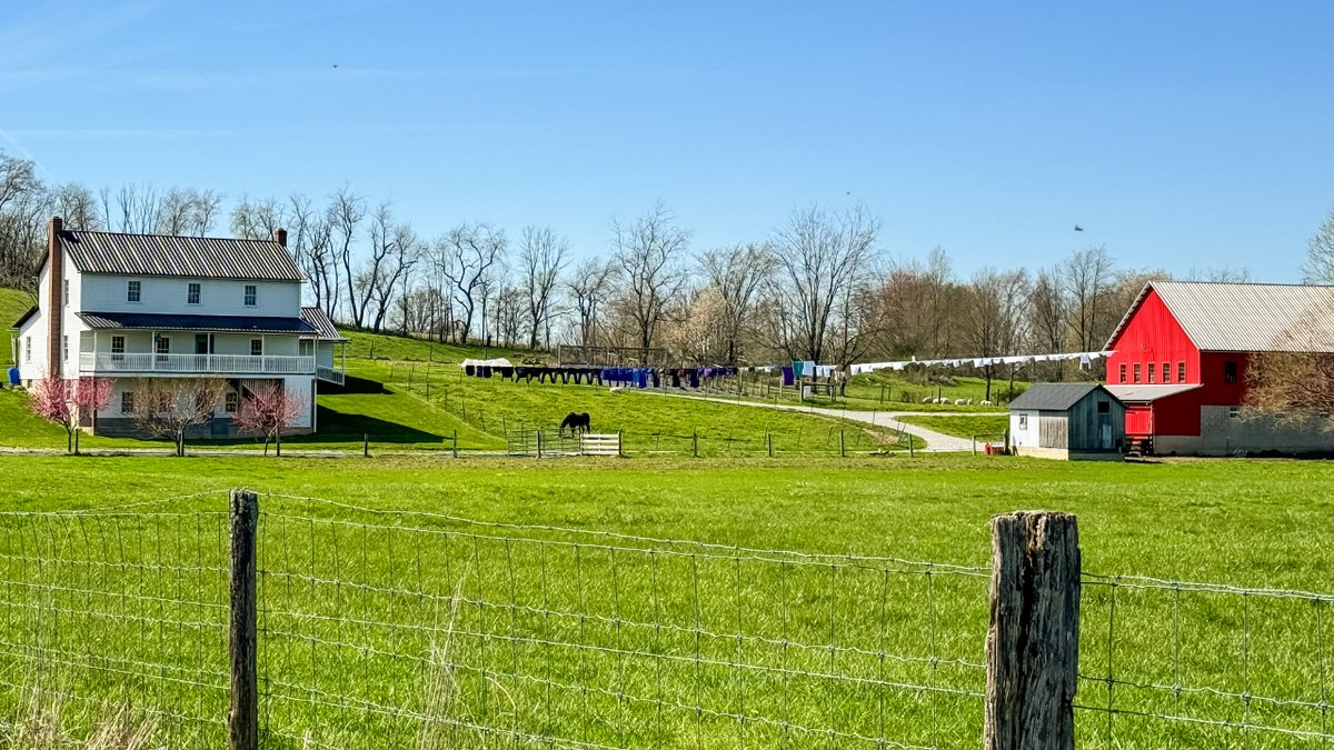 What a LONG line of laundry! The original solar panels 🌱

#amishcountryinsider #amishcountry #amish #ohioamishcountry #ohio #laundry #laundryday #laundrytime #springtime #spring