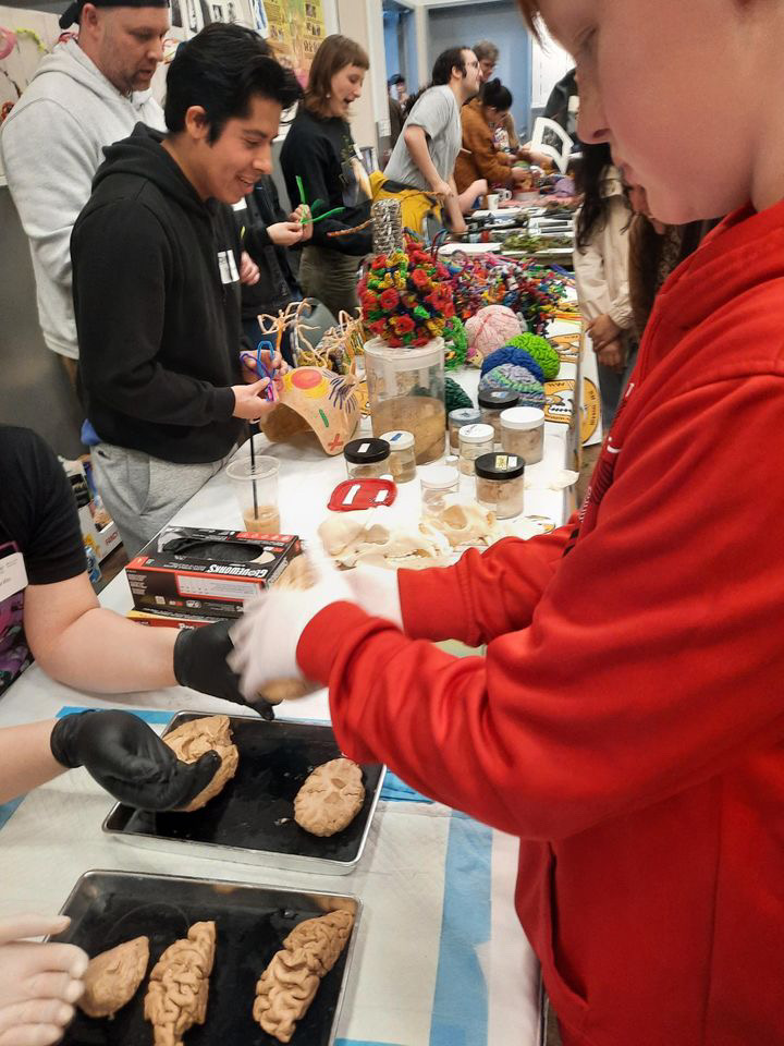 OHSUBrain's tweet photo. Thank you all who attended the #BrainFair at @OMSI earlier this month! Join us next year for another day of hands-on exhibits and displays to learn more about the amazing things your #brain can do. #OHSUBrain https://t.co/z6YFDsub72