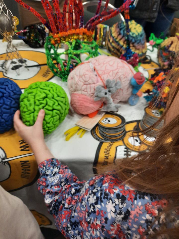 OHSUBrain's tweet photo. Thank you all who attended the #BrainFair at @OMSI earlier this month! Join us next year for another day of hands-on exhibits and displays to learn more about the amazing things your #brain can do. #OHSUBrain https://t.co/z6YFDsub72