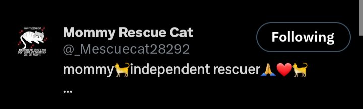 Hi @atlantaoly please be aware that these accounts that follow you are part of a organised fraud network of NINE fake @X #catrescue accounts who are copying content from several genuine, mainly NYC based rescues on other social media platforms.