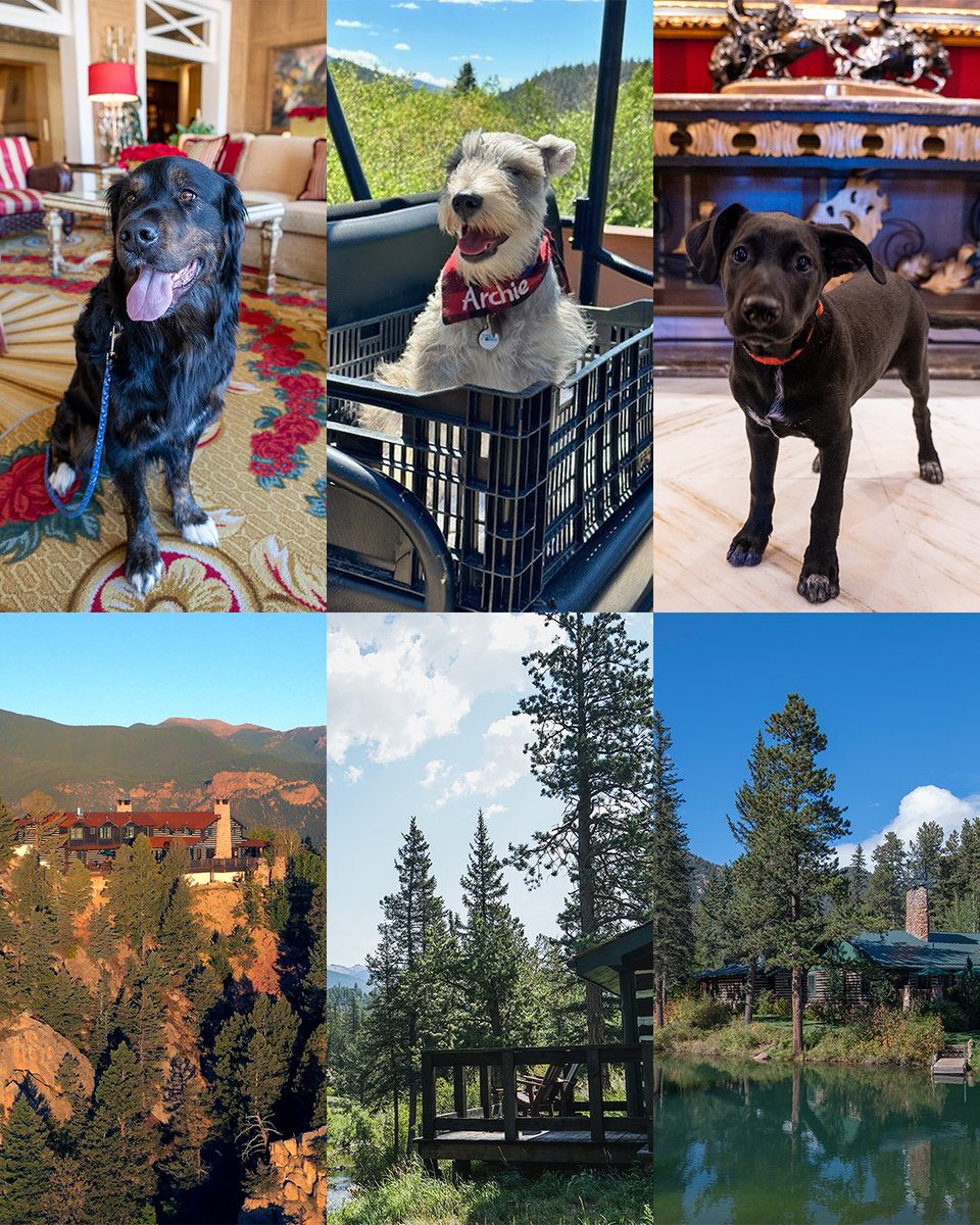 Moose, Archie, and Ranger can’t wait to welcome guests at our Wilderness Properties soon! It’s not long until Cloud Camp, Fly Fishing Camp, and The Ranch at Emerald Valley open for the 2024 season. Have you booked your stay? Reserve now: bit.ly/3qEMuW5