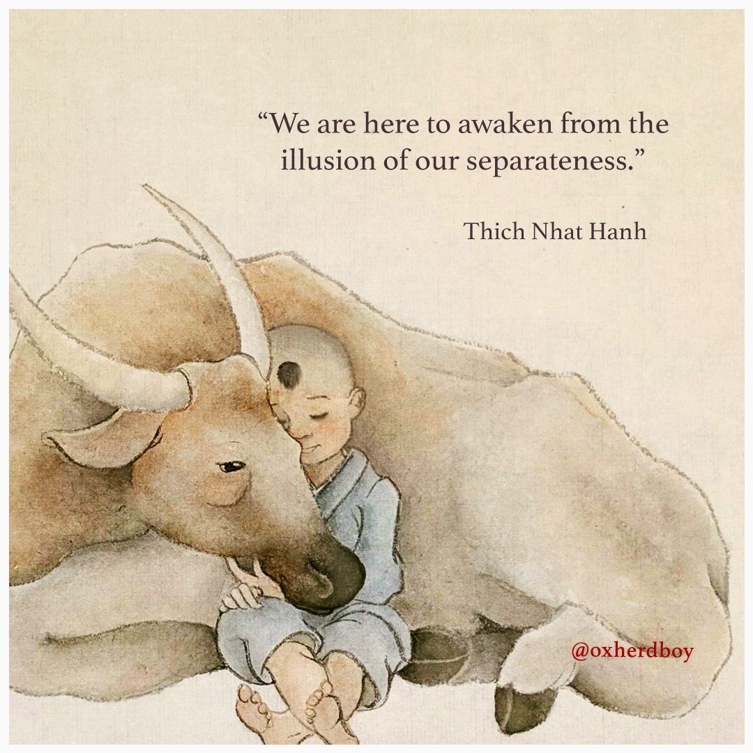 We are here to awaken from the illusion of our separateness. Thich Nhat Hanh