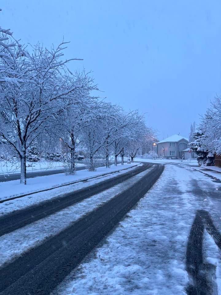 Calgary this Morning☃️❄️ We have different shades of Cherry Blossom 🌸❤️🔥🇨🇦🍁