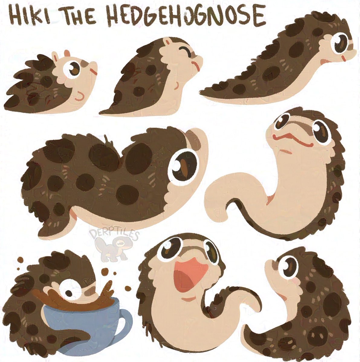 Based on Hiki, who is both hedgehog and hognose snake