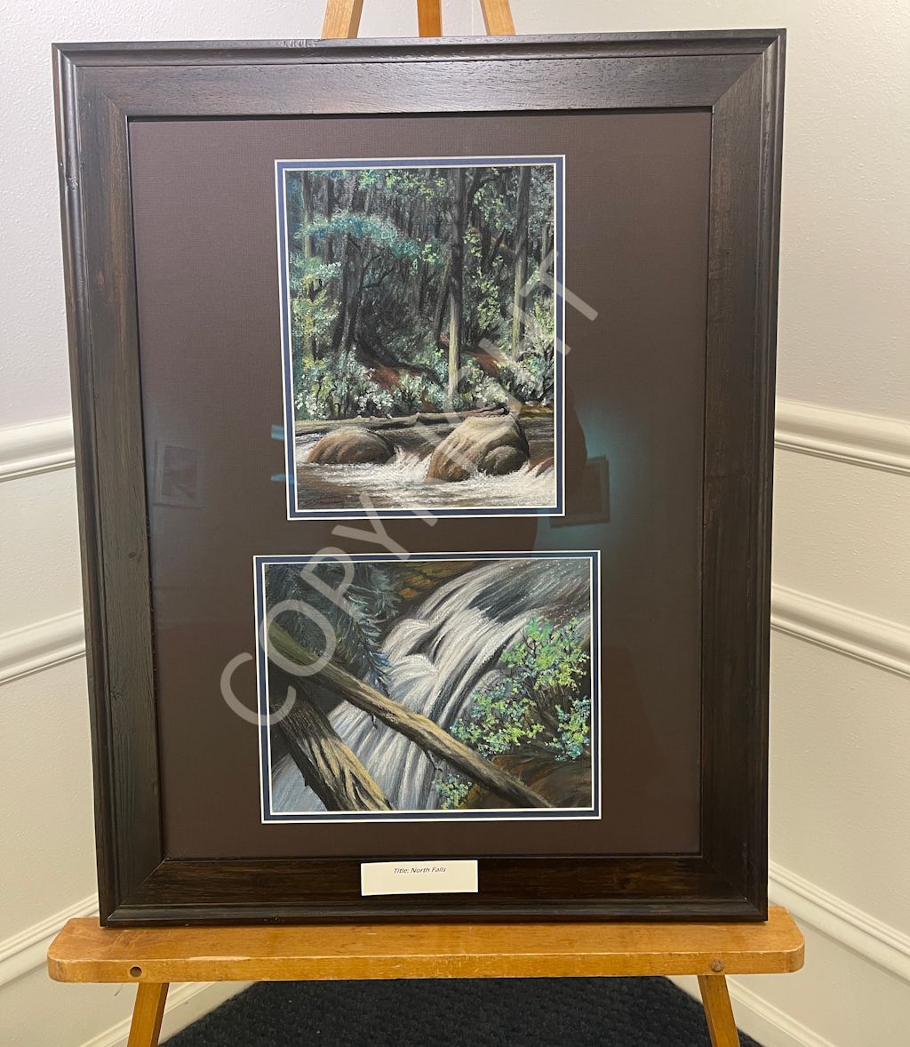 Art Auction!  Come in and view, then bid on this amazing piece of art by Steve Strassmann.  It is framed and ready for your wall, or as a gift for someone!  Details at the front desk.

#dcca #dodgecountyarts #artauction