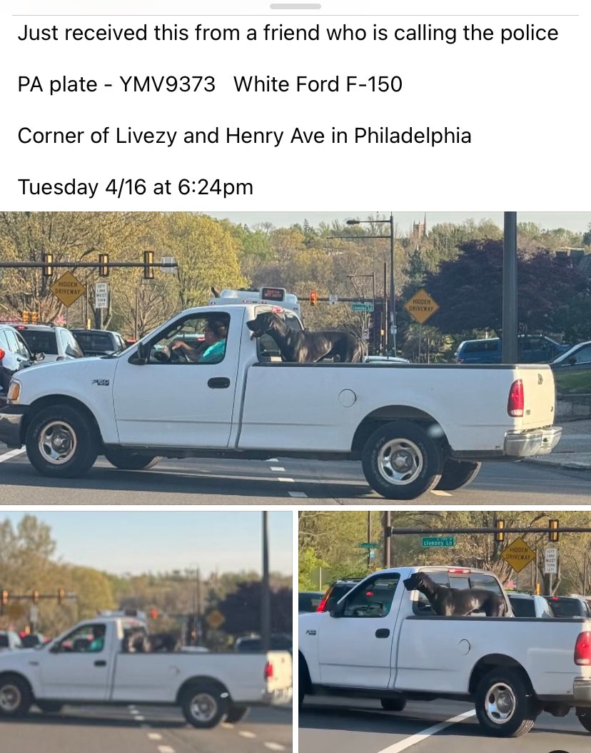 do_philly's tweet photo. @PhillyPolice @PSPCA https://t.co/y42GOYQxU1