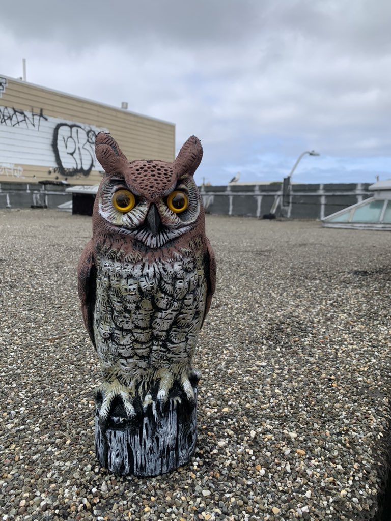 outerdistrict49's tweet image. Outer District