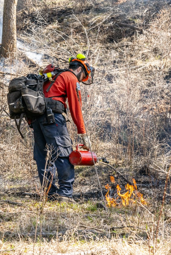 BCGovFireInfo's tweet photo. Over the weekend, conditions were favourable on the Kettle River prescribed burn, located around three kilometres northwest of the community of Rock Creek. https://t.co/YKXU81FSQp