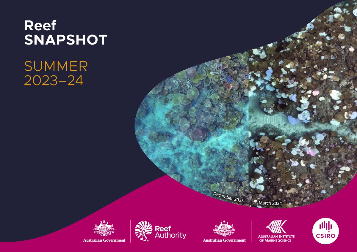 The Reef snaphot: summer 2023-24 is available⬇️ An initiative of @gbrmarinepark, AIMS + @csiro, the snapshot looks at the recent summer conditions & how corals + #GreatBarrierReef health were affected. Media release: bit.ly/3Jp6bdb Snapshot: bit.ly/3Q1PqbC