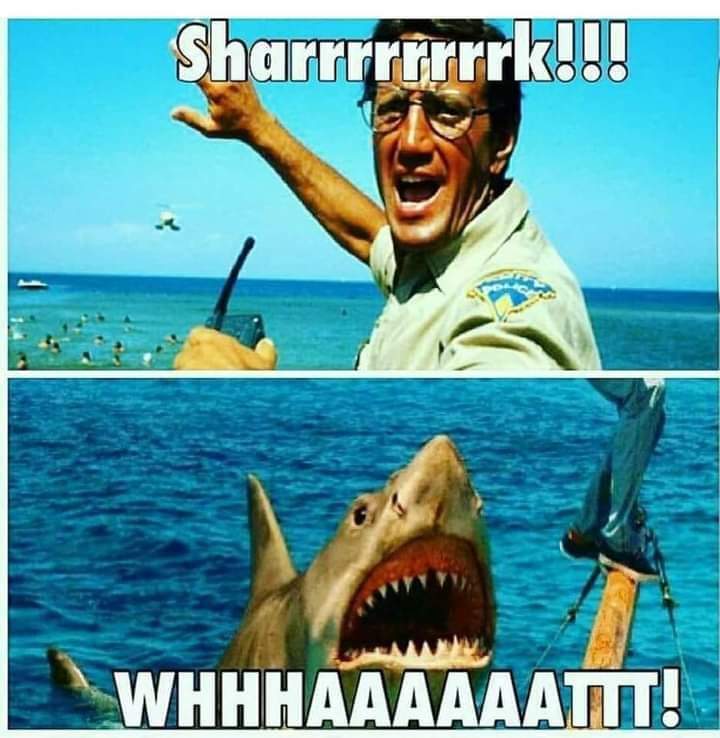 #Jaws #Sharkweek #Ahhh 🦈