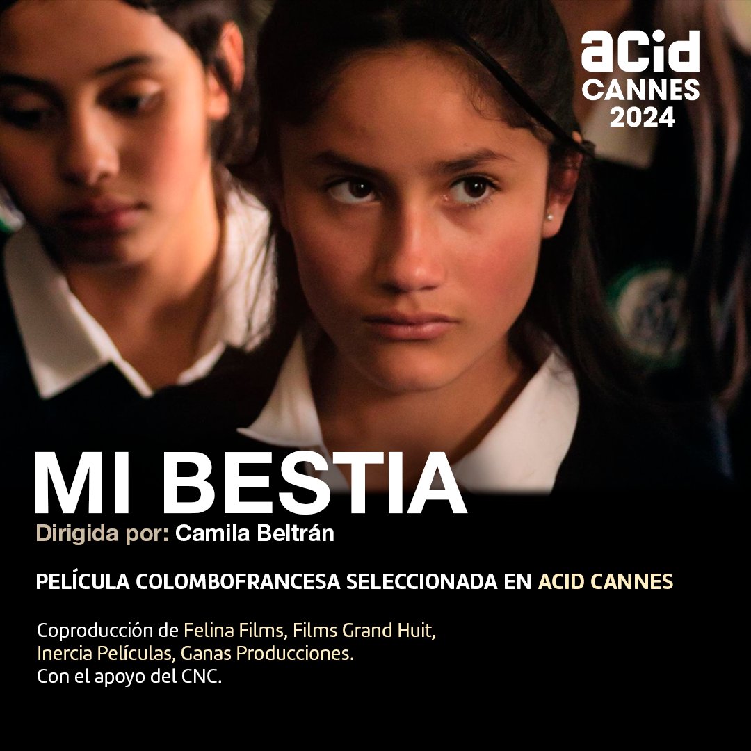 #MiBestia coproducción entre Colombia y Francia fue seleccionada por la @AssociationACID  ¡Nos alegra que el talento colombiano llegue de la mano de Francia a estos espacios y esperamos poder disfrutar de este título pronto en nuestro país! #Cannes 2024 #ACIDCannes2024