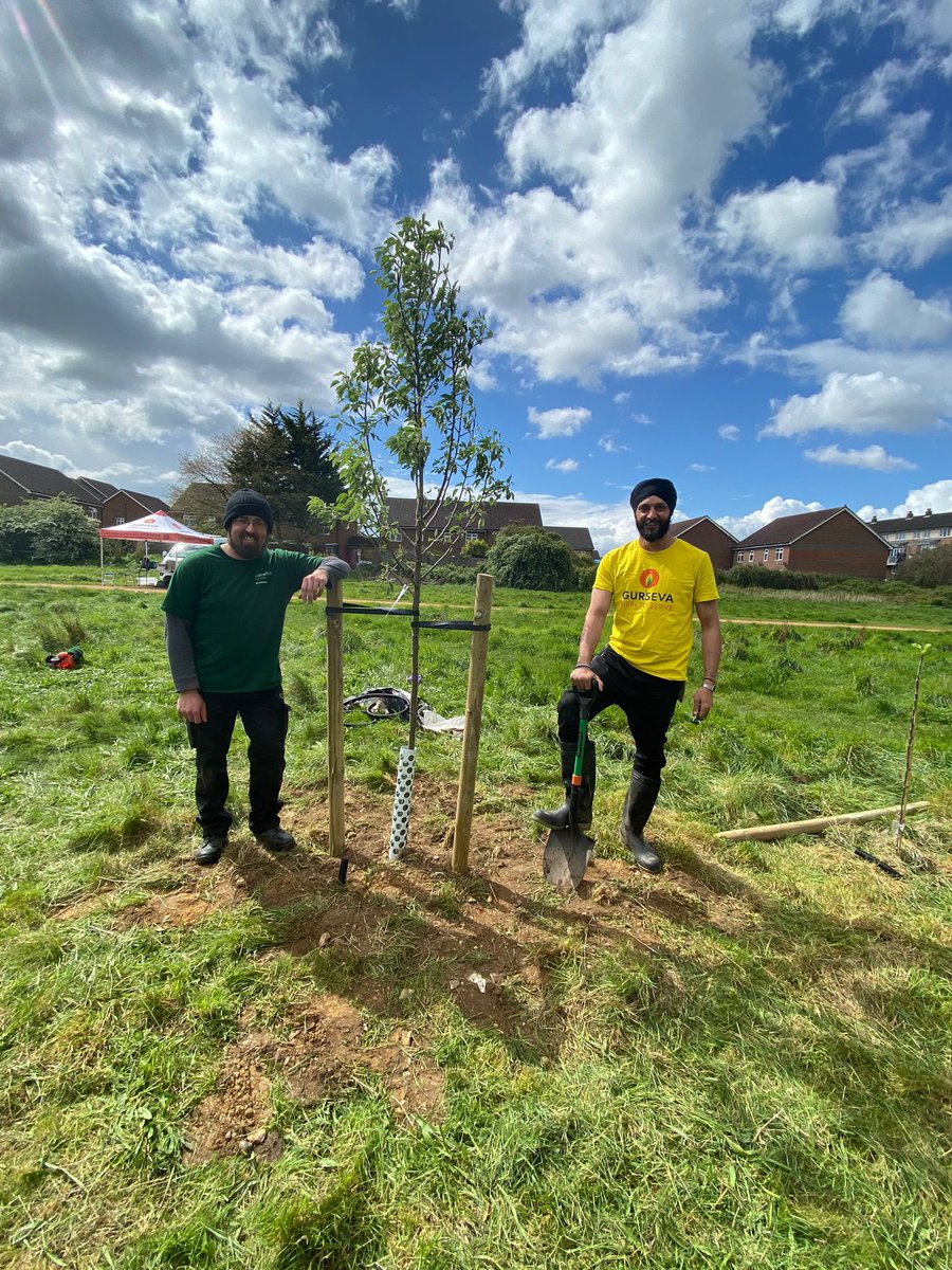 Brilliant effort from team Gurseva as we planted 11 fruit trees in Crane Park Hounslow, made possible thanks to funding from @CVP_CraneValley supported by @LBofHounslow and lampton services. Looking forward to making apple juice! #treeplanting #volunteerday #charity #greenspaces