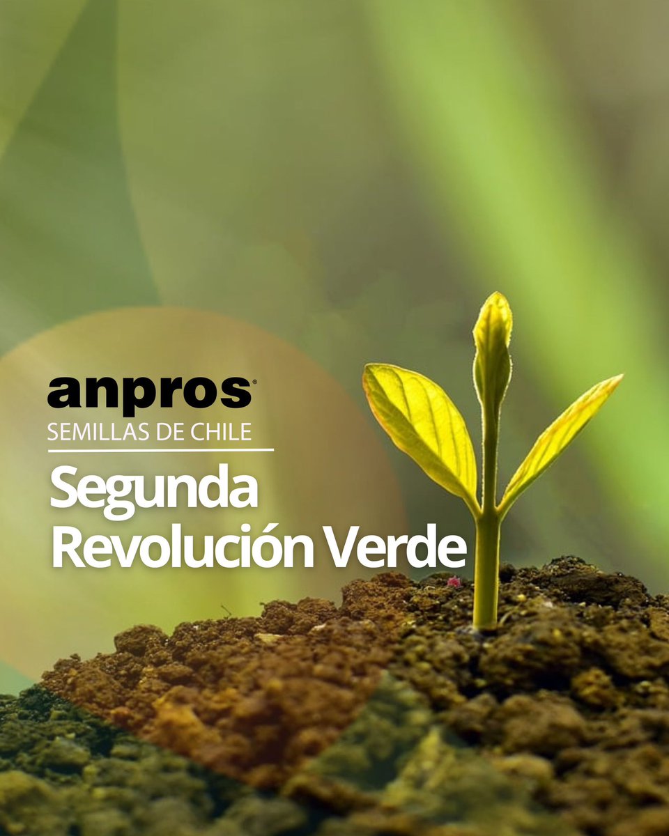 ¡Invertir en la investigación agrícola es invertir en un futuro sostenible para todos! 💡💚

Un aumento en la inversión en investigación y desarrollo agrícola puede marcar la diferencia en la lucha contra el hambre y el cambio climático. 🌾🔬

 (Sigue Hilo 👇🏾)