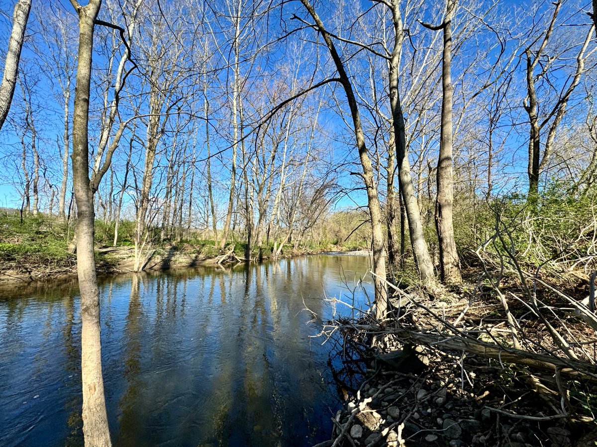 Early Spring on the cusp of awakening 
#hiking #NewEngland